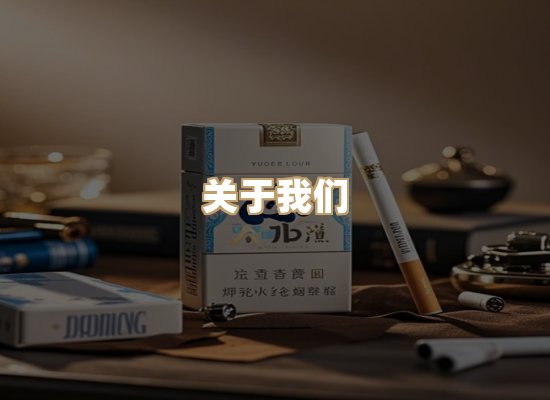 关于蓝帝网